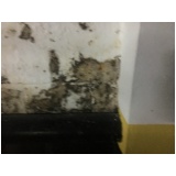 impermeabilização para paredes externas preço na Vila Helena